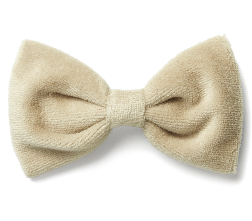 Bow tie  Mango
